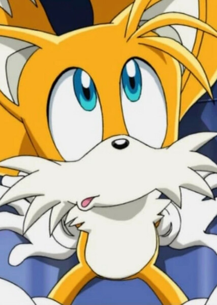 Miles "Tails" Prower (Sonic X) photo