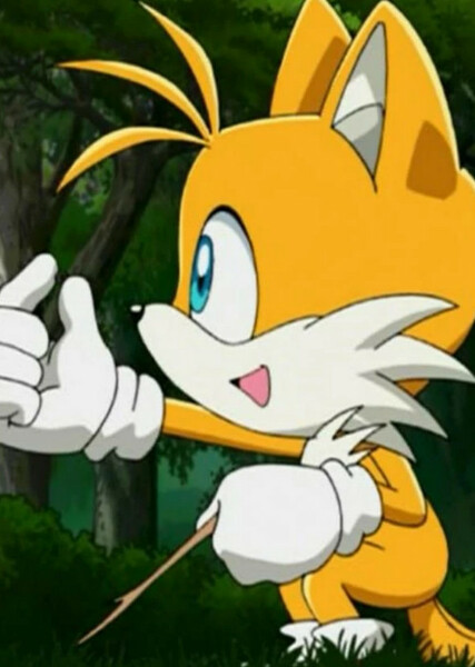 Miles "Tails" Prower (Sonic X) photo