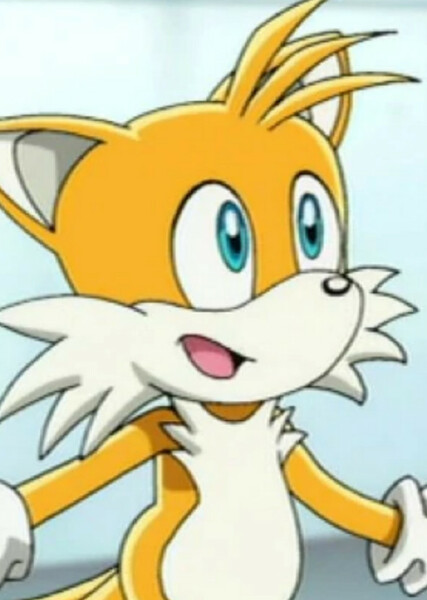 Miles "Tails" Prower (Sonic X) photo