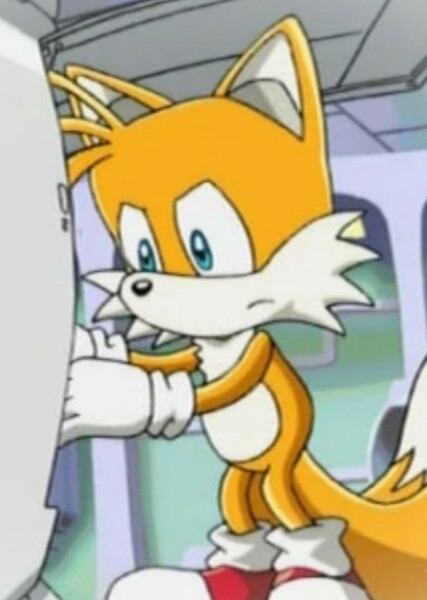 Miles "Tails" Prower (Sonic X) photo