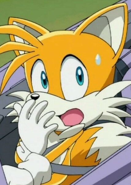Miles "Tails" Prower (Sonic X) photo