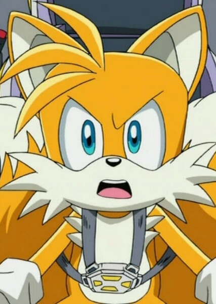 Miles "Tails" Prower (Sonic X) photo