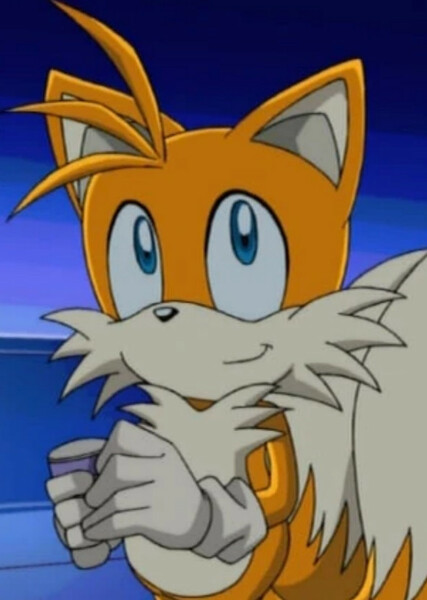 Miles "Tails" Prower (Sonic X) photo