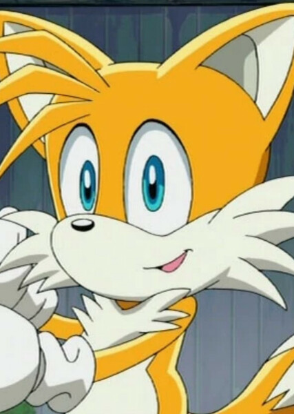 Miles "Tails" Prower (Sonic X) photo