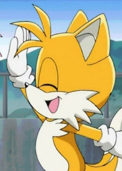 Miles "Tails" Prower (Sonic X) photo