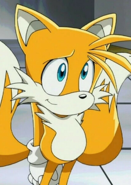 Miles "Tails" Prower (Sonic X) photo