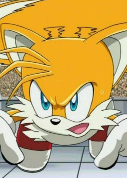 Miles "Tails" Prower (Sonic X) photo