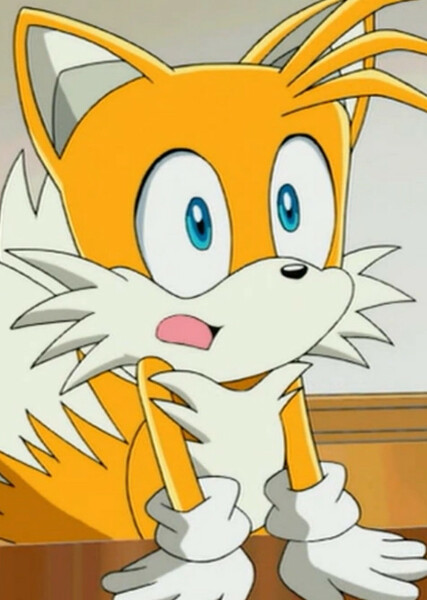 Miles "Tails" Prower (Sonic X) photo