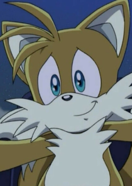 Miles "Tails" Prower (Sonic X) photo