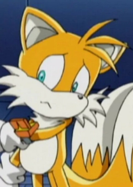 Miles "Tails" Prower (Sonic X) photo