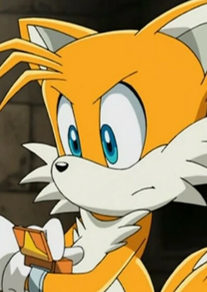 Miles "Tails" Prower (Sonic X) photo