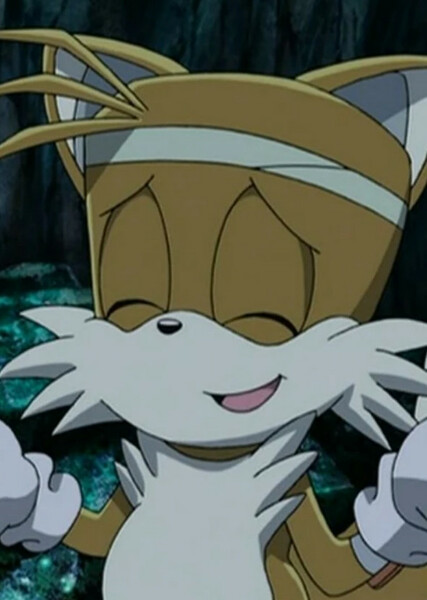 Miles "Tails" Prower (Sonic X) photo