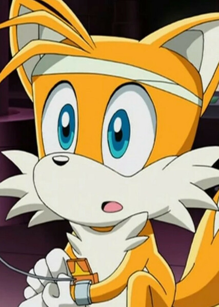 Miles "Tails" Prower (Sonic X) photo