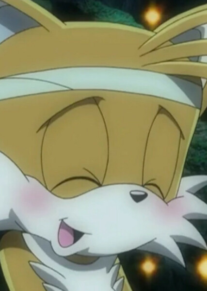 Miles "Tails" Prower (Sonic X) photo