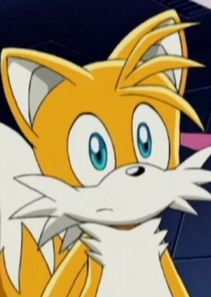 Miles "Tails" Prower (Sonic X) photo