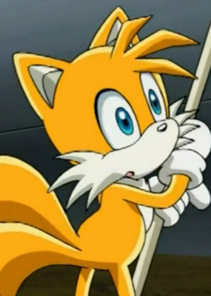 Miles "Tails" Prower (Sonic X) photo