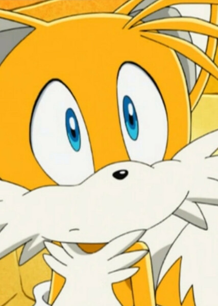 Miles "Tails" Prower (Sonic X) photo