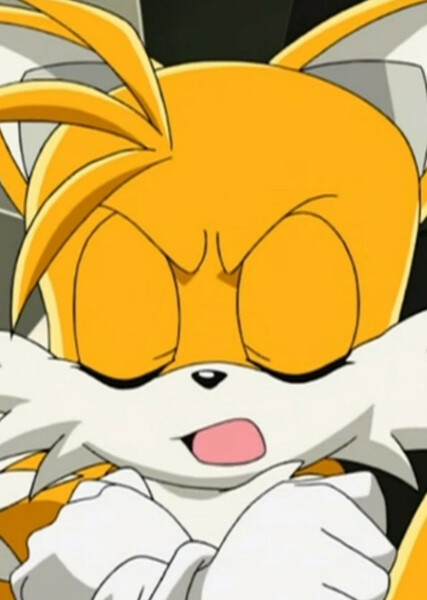 Miles "Tails" Prower (Sonic X) photo