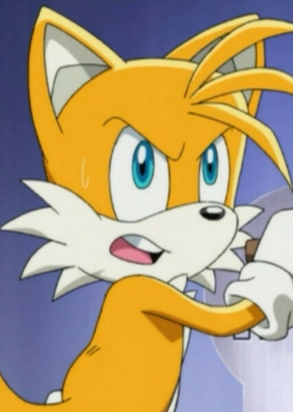 Miles "Tails" Prower (Sonic X) photo