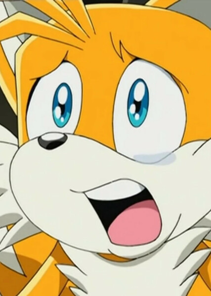 Miles "Tails" Prower (Sonic X) photo
