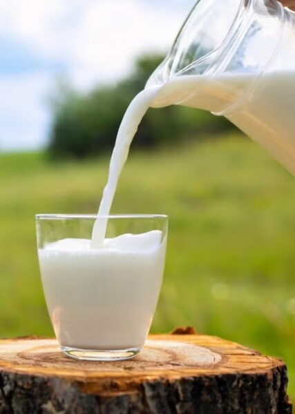 Milk photo