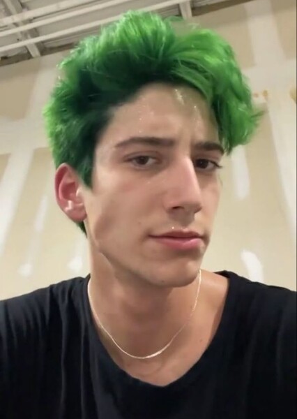 Milo Manheim photo