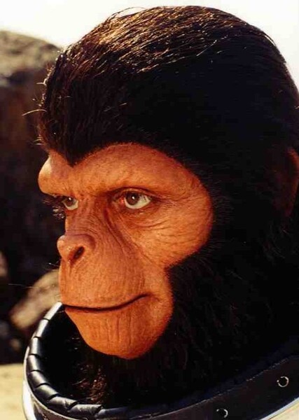 Milo (Planet of the Apes) photo