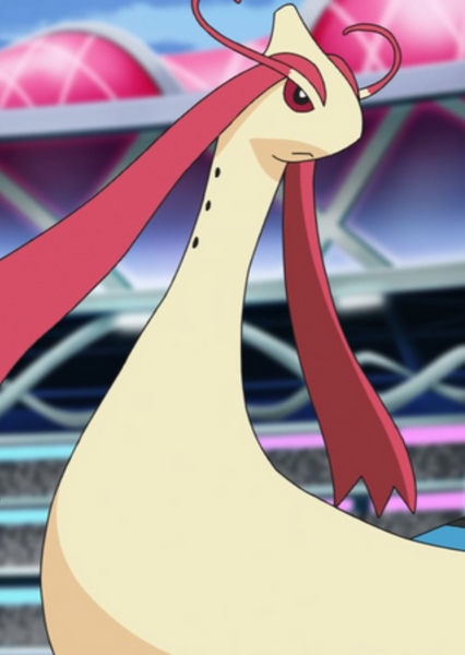 Milotic photo