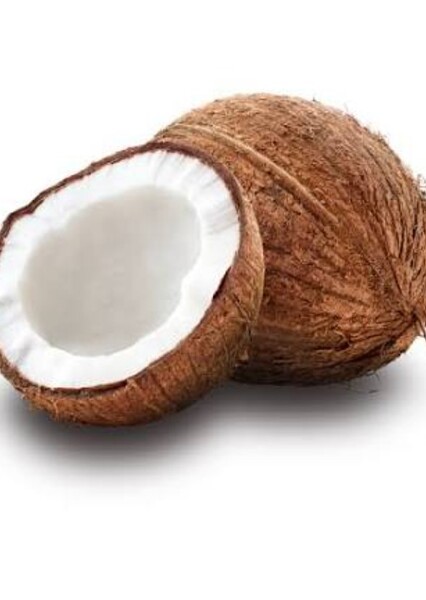 Minecraft: Coconut RP 1.21.11