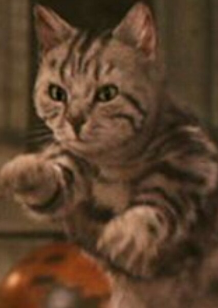 Minerva McGonagall photo