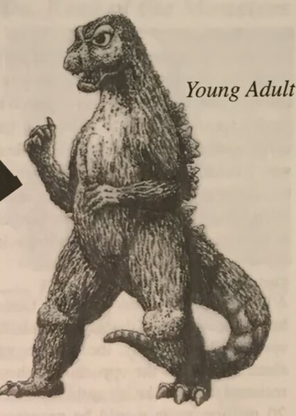 Minilla photo