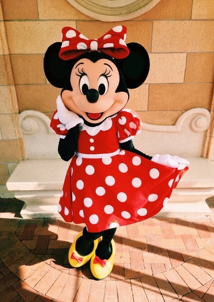 Minnie Mouse photo