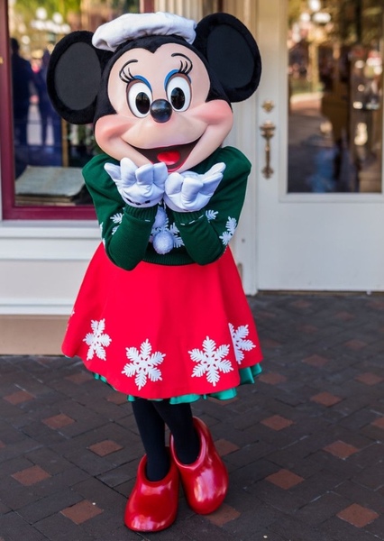Minnie Mouse photo