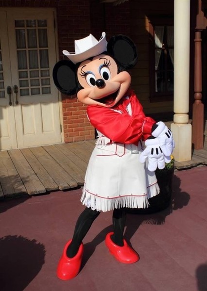 Minnie Mouse photo