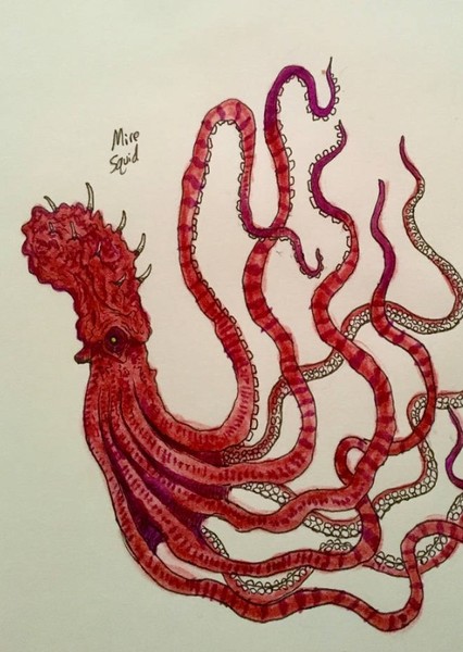 Mire Squid photo