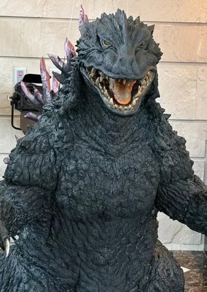 MireGoji photo