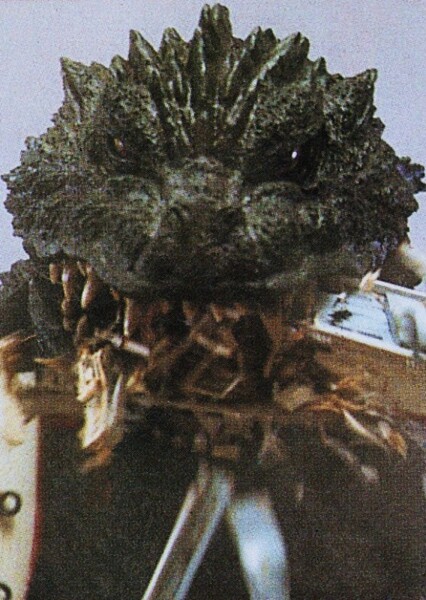 MireGoji photo