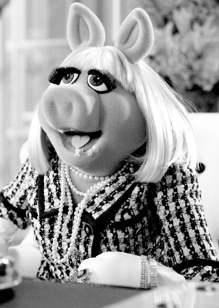 Miss Piggy photo