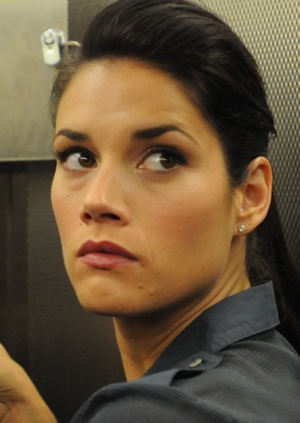 Missy Peregrym photo