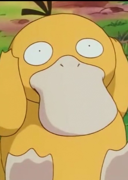 Misty's Psyduck photo