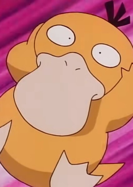Misty's Psyduck photo