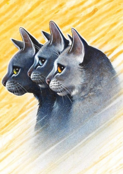 Mistystar (Warrior Cats) photo