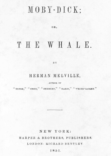 Moby Dick photo