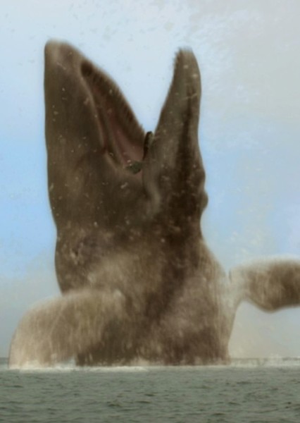 Moby Dick photo