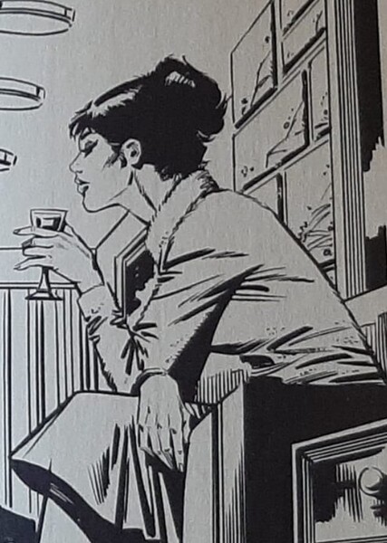 Modesty Blaise photo