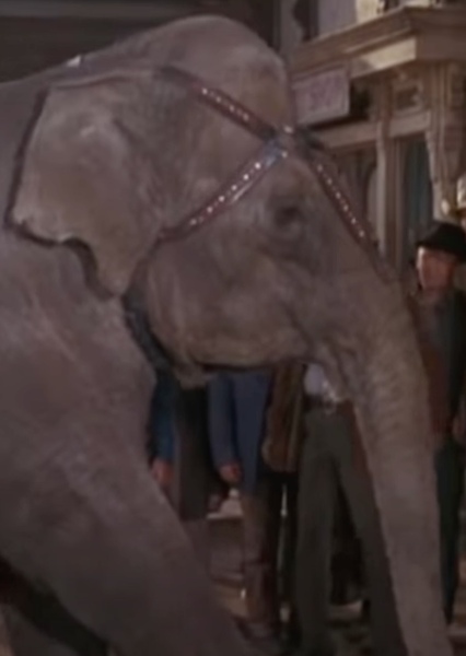 Modoc the Elephant photo