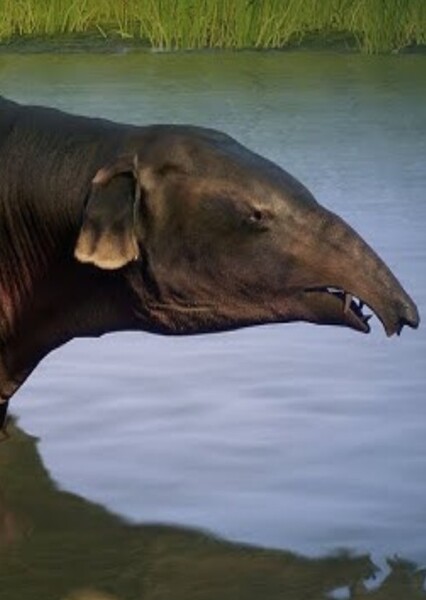 Moeritherium