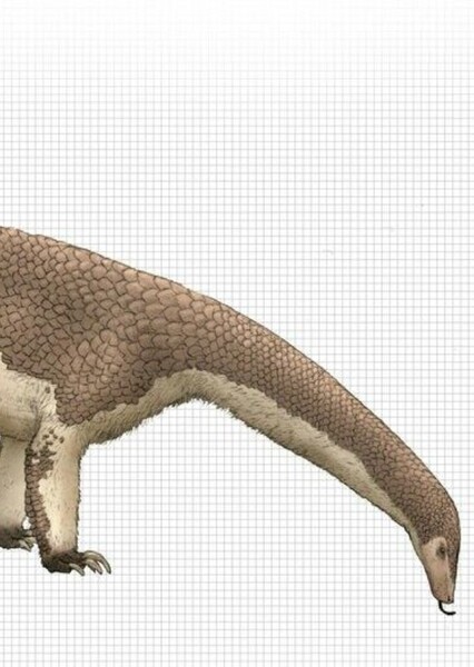 Mokele-Mbembe photo