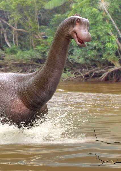 Mokele-Mbembe photo