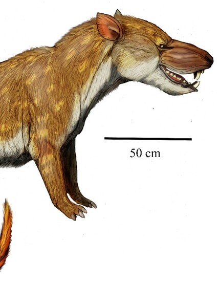 Mongolonyx
